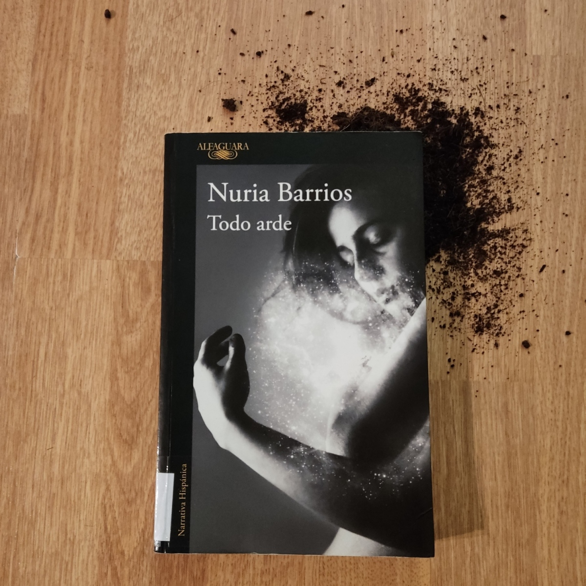 Todo arde  Nuria Barrios
